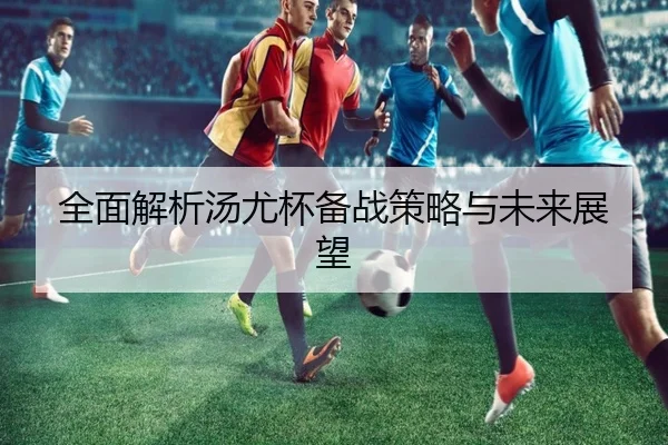 全面解析汤尤杯备战策略与未来展望