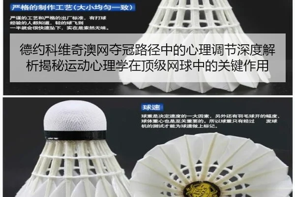 德约科维奇澳网夺冠路径中的心理调节深度解析揭秘运动心理学在顶级网球中的关键作用